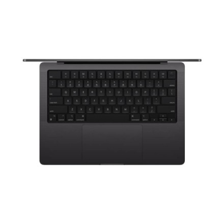 Ноутбук Apple MacBook Pro 14" M4 Max 16c CPU, 40c GPU, 128/1TB черный космос (2024)