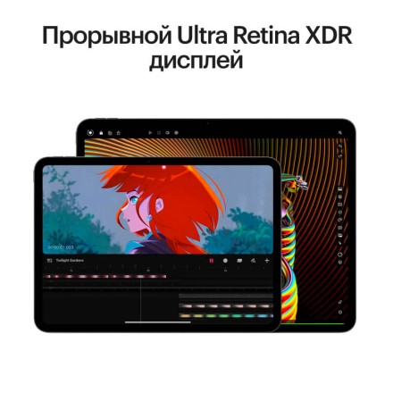 Планшет Apple iPad Pro 13" 1Tb (2024) Wi-Fi + Cellular «черный космос»